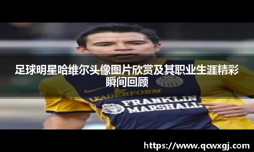 足球明星哈维尔头像图片欣赏及其职业生涯精彩瞬间回顾